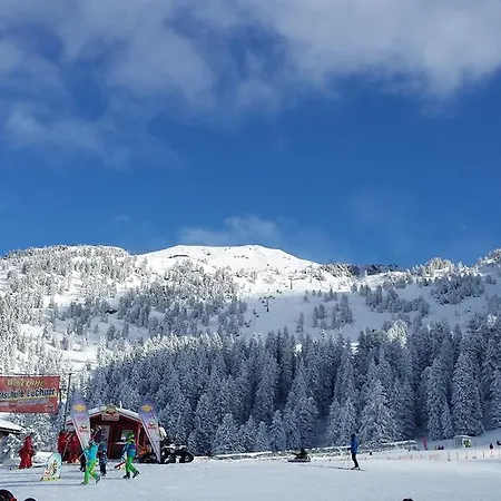 Appartement Tirol *