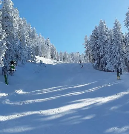 Tirol Daire Zellberg