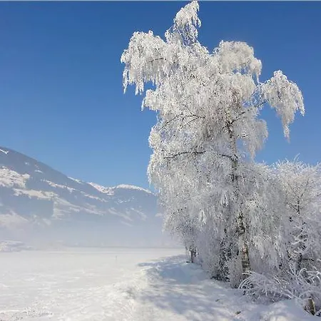 Appartement Tirol *