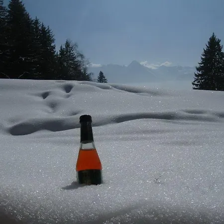 Daire Tirol Zellberg