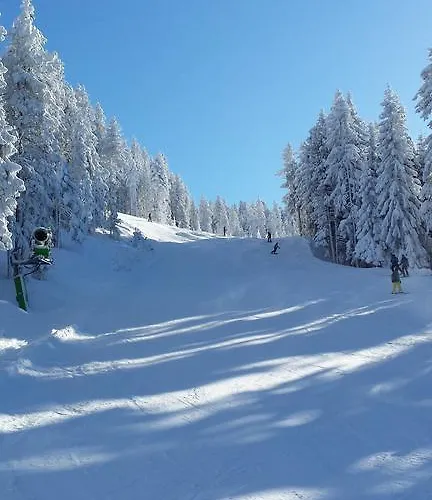 Tirol Daire Zellberg
