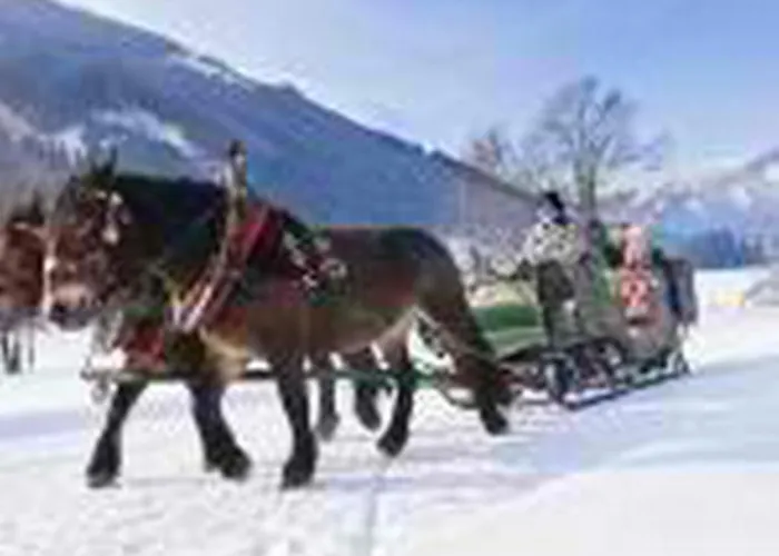 Appartement Tirol *