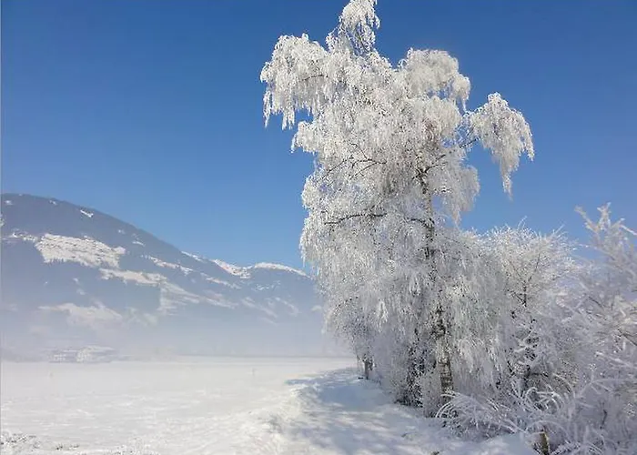 Daire Tirol *