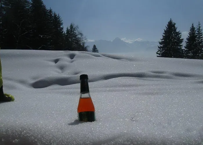 Appartement Tirol Zellberg
