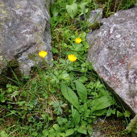 Tirol Zellberg