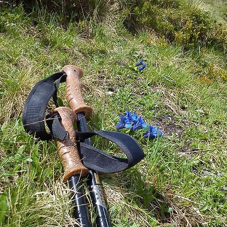 Apartment Landhaus Tirol Zellberg